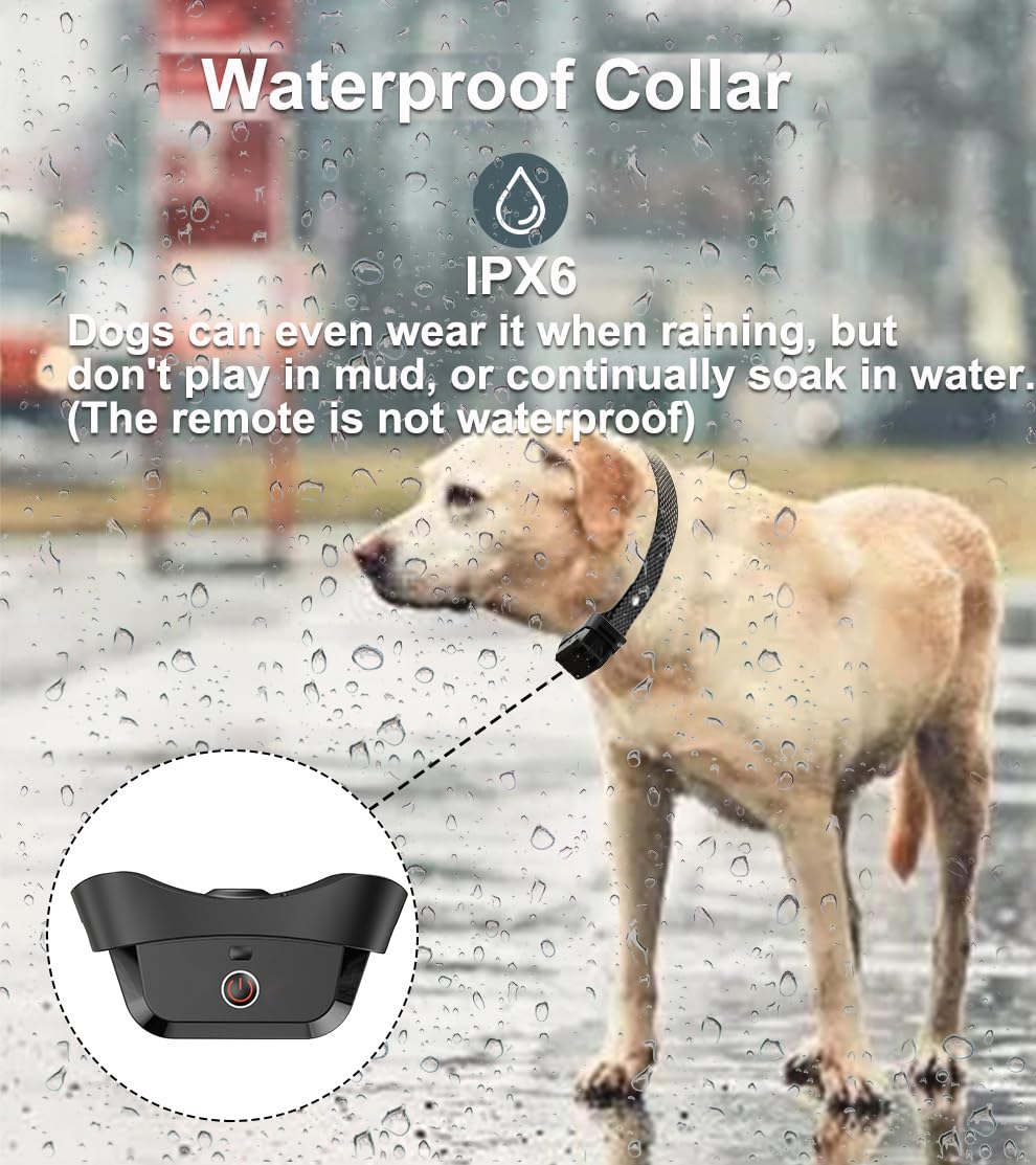 Gutes Leben collar ajustable para perros pequeños y grandes.