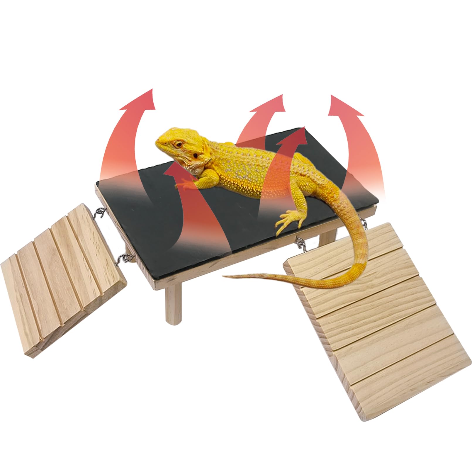 GXSDJ plataforma dragón barbudo de madera toma sol y movilidad segura.