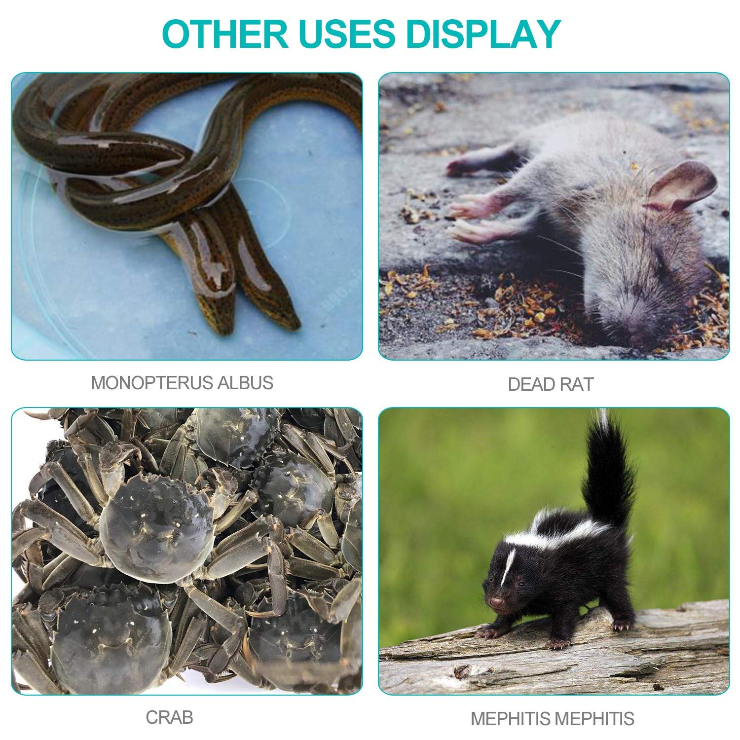 Herramienta versátil GYORGKSHI para mascotas reptiles y tareas domésticas sin esfuerzo.