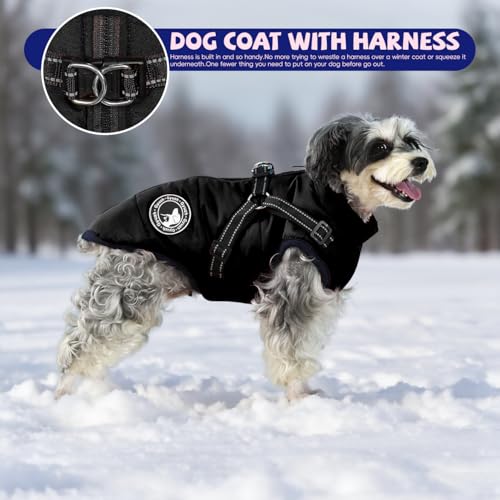 Gyuzh chaleco-perro para lluvia y nieve, protección ligera.
