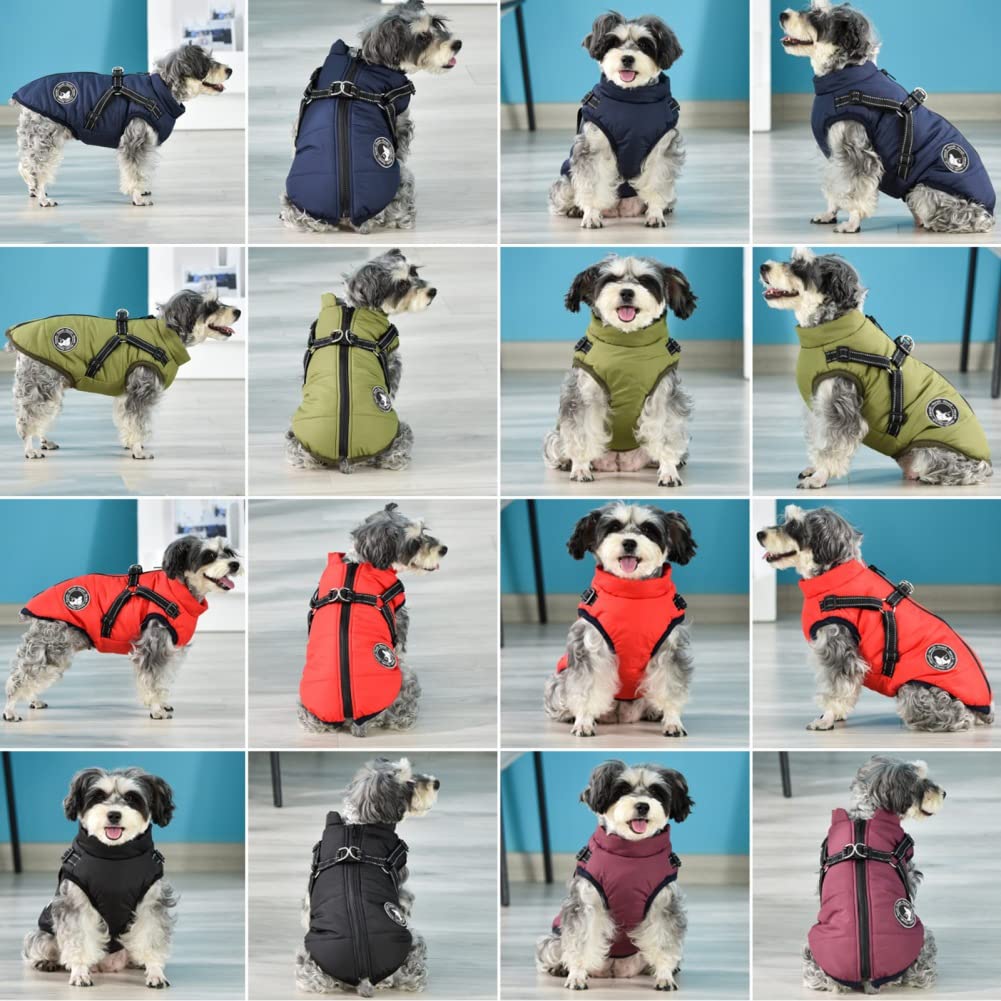 Gyuzh diseño 2 en 1 combina abrigo y arnés en una prenda para perros.