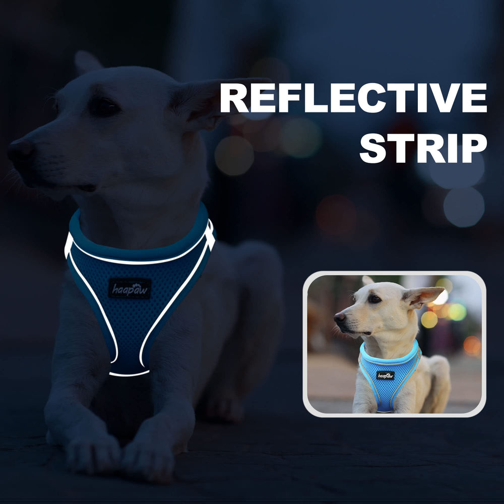 Haapaw arnés acolchado cuello: reduce tirones y protege el cuello del perro.