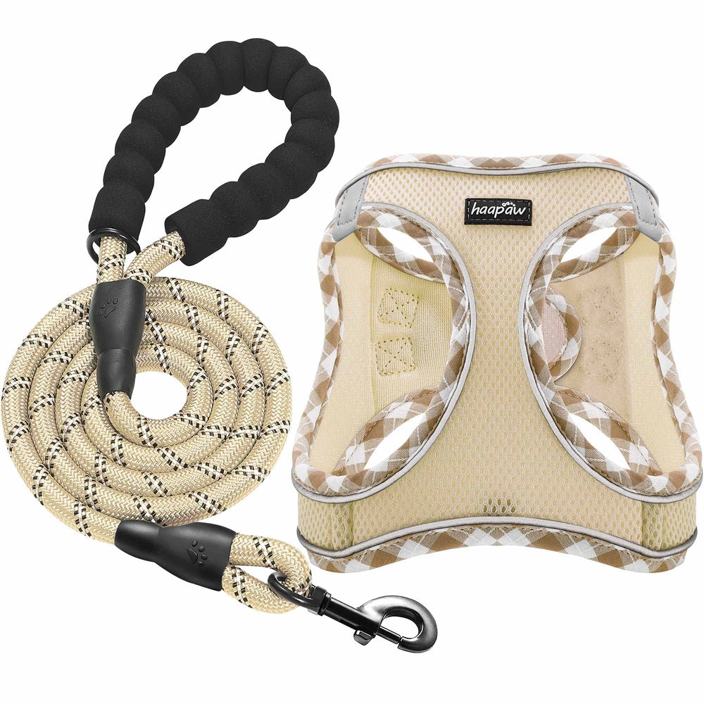Arnés haapaw con correa, conjunto cómodo para paseos seguros.