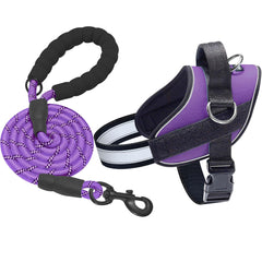 Haapaw arnés perro, vista frontal, cómodo para paseos sin tirones.
