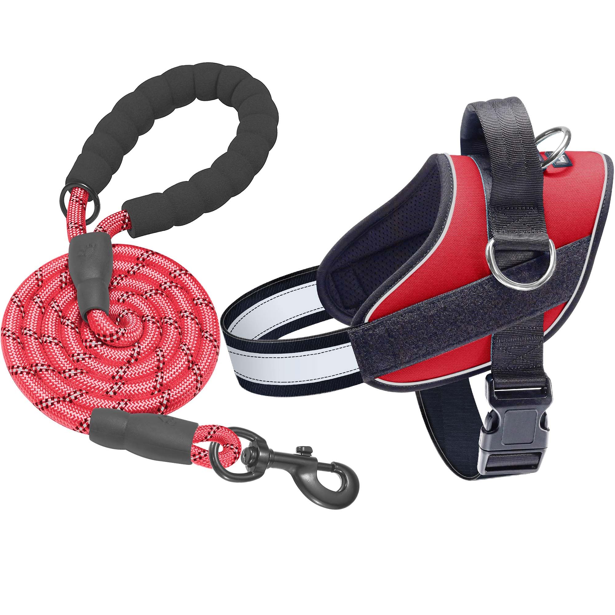 Arnés Haapaw para perro, vista frontal con tres anillos para control suave