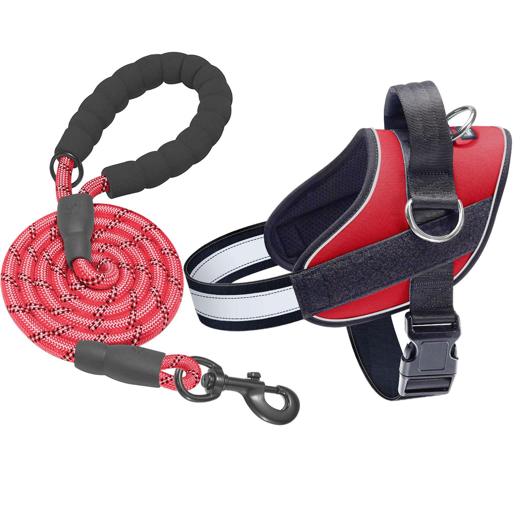 Arnés Haapaw para perro, vista frontal con tres anillos para control suave