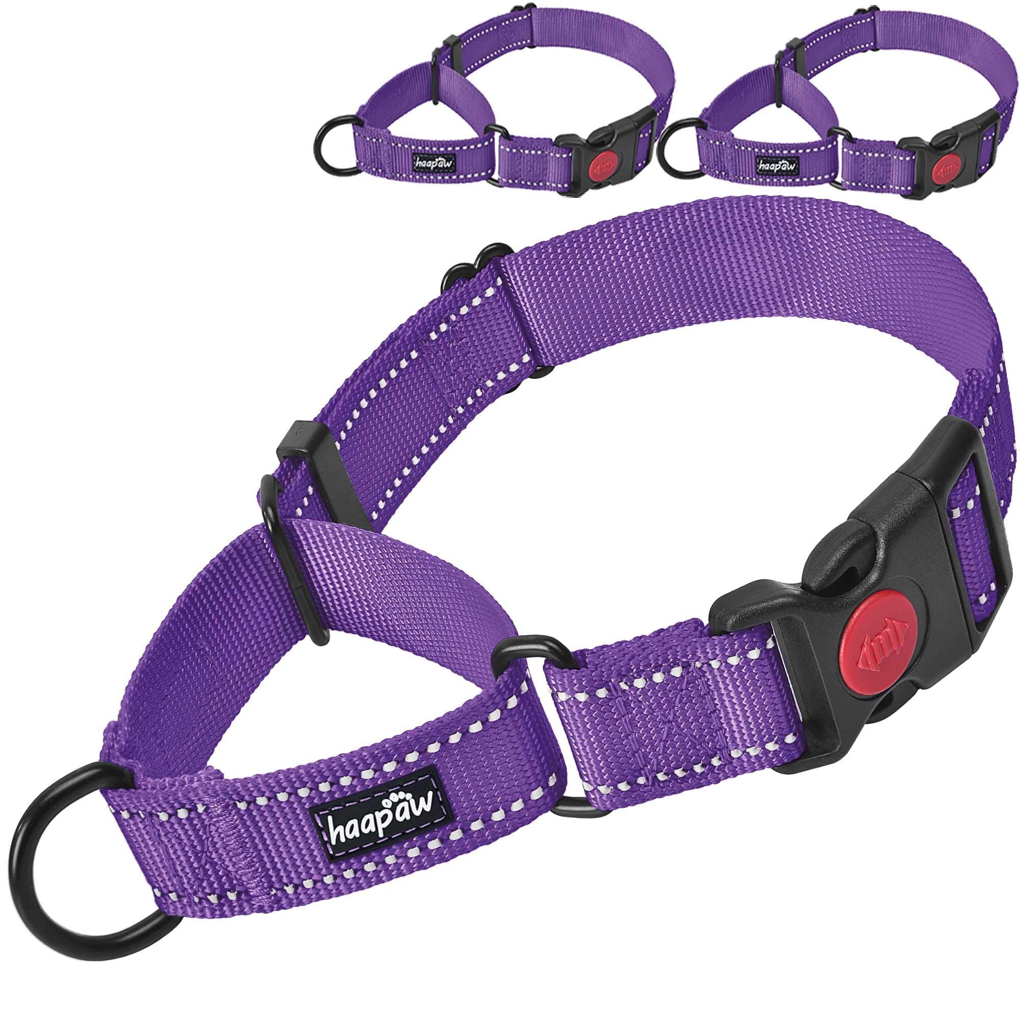 haapaw collar martingala morado con cierre rápido para entrenamiento seguro