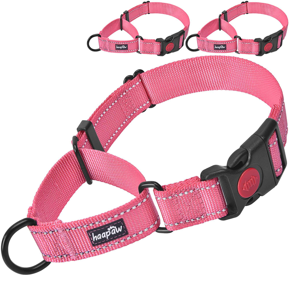 Haapaw collar martingala con cierre rápido, ideal para control suave durante el paseo.