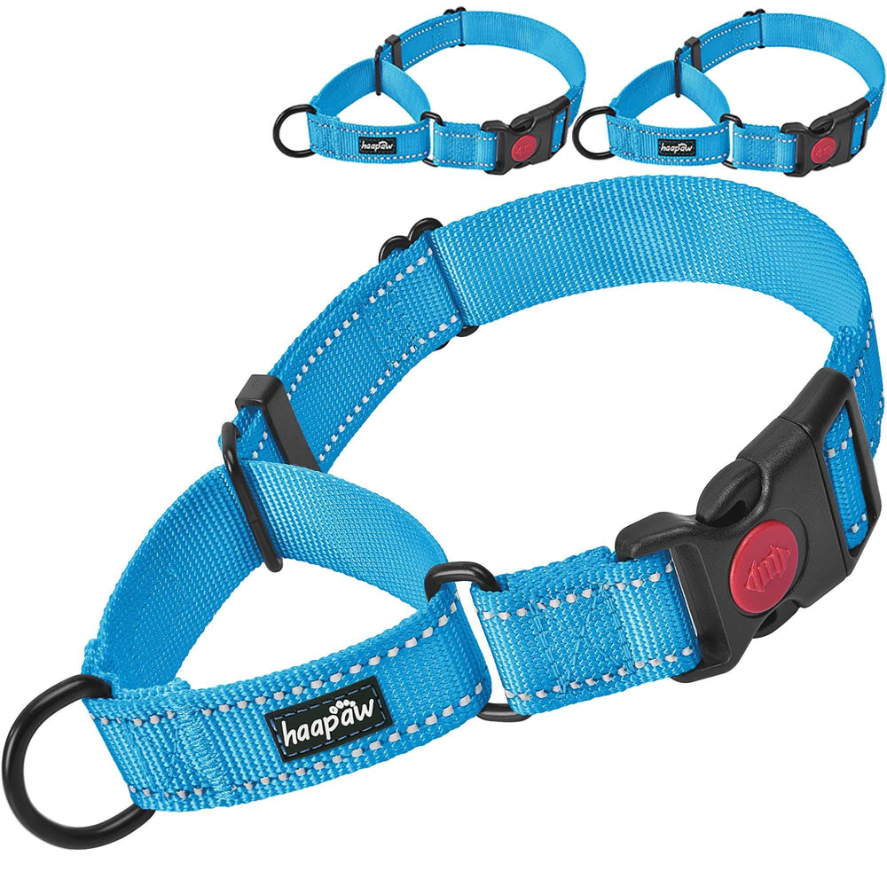 Haapaw collar martingala, cierre rápido para paseos fáciles.