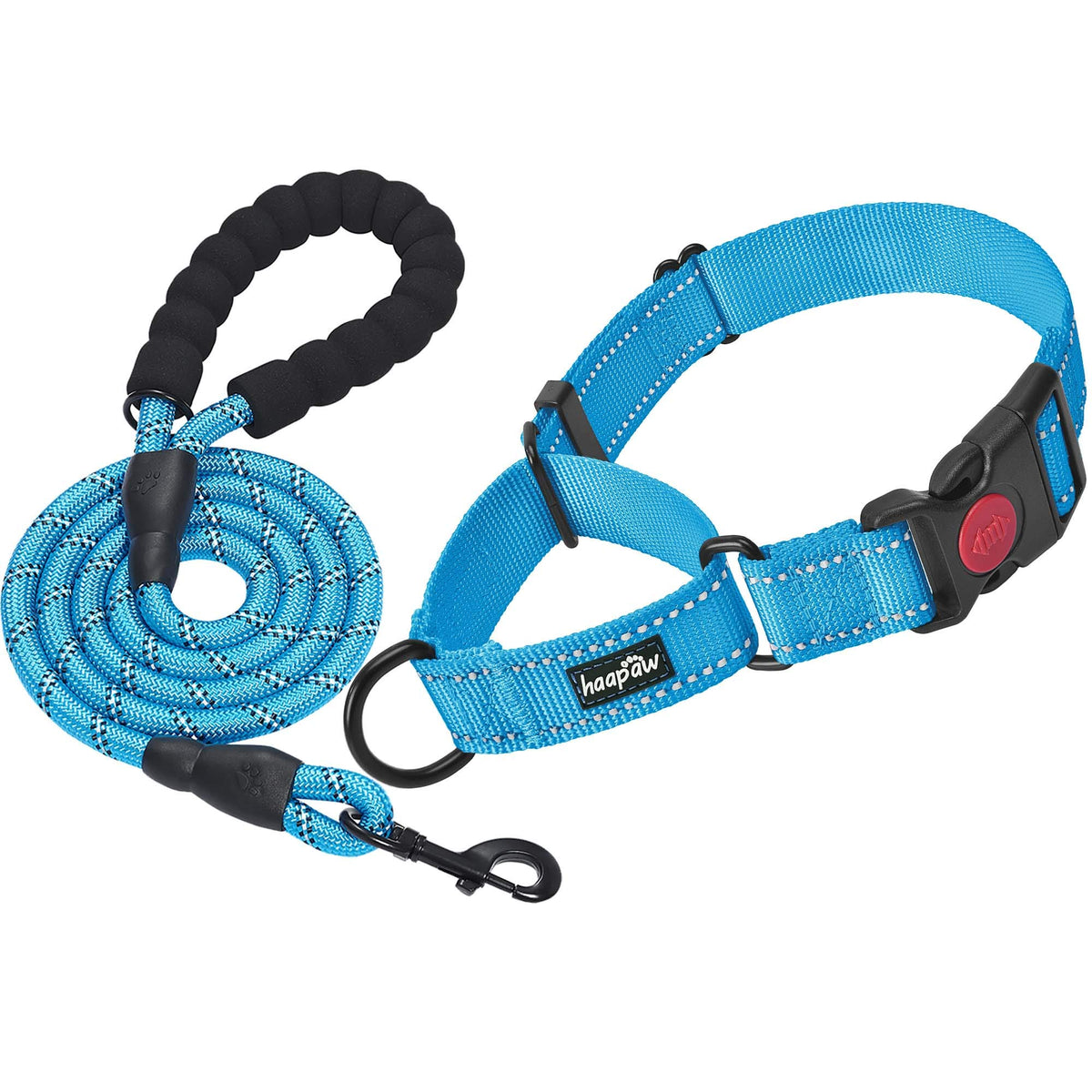 haapaw collar martingale con ajuste rápido para entrenamiento.
