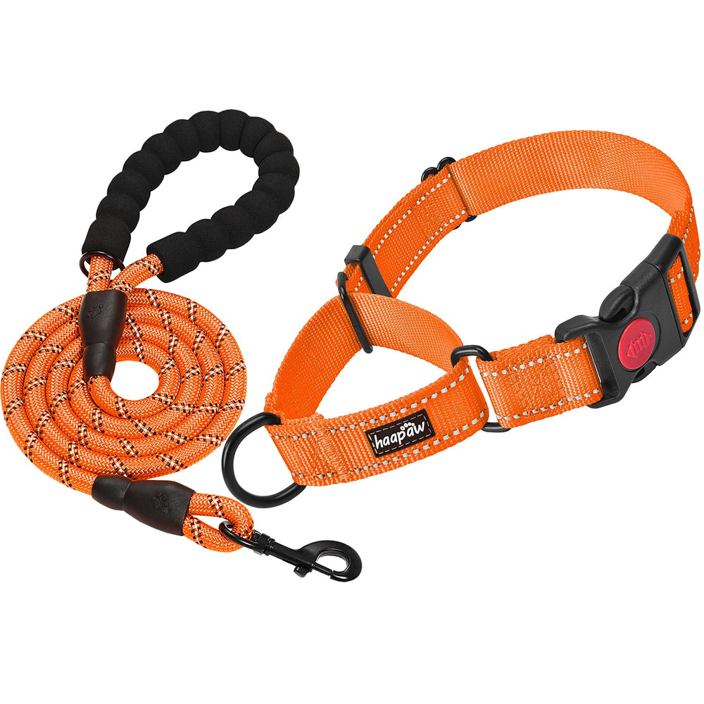 Collar martingale Haapaw con cierre rápido para entrenamiento y control.