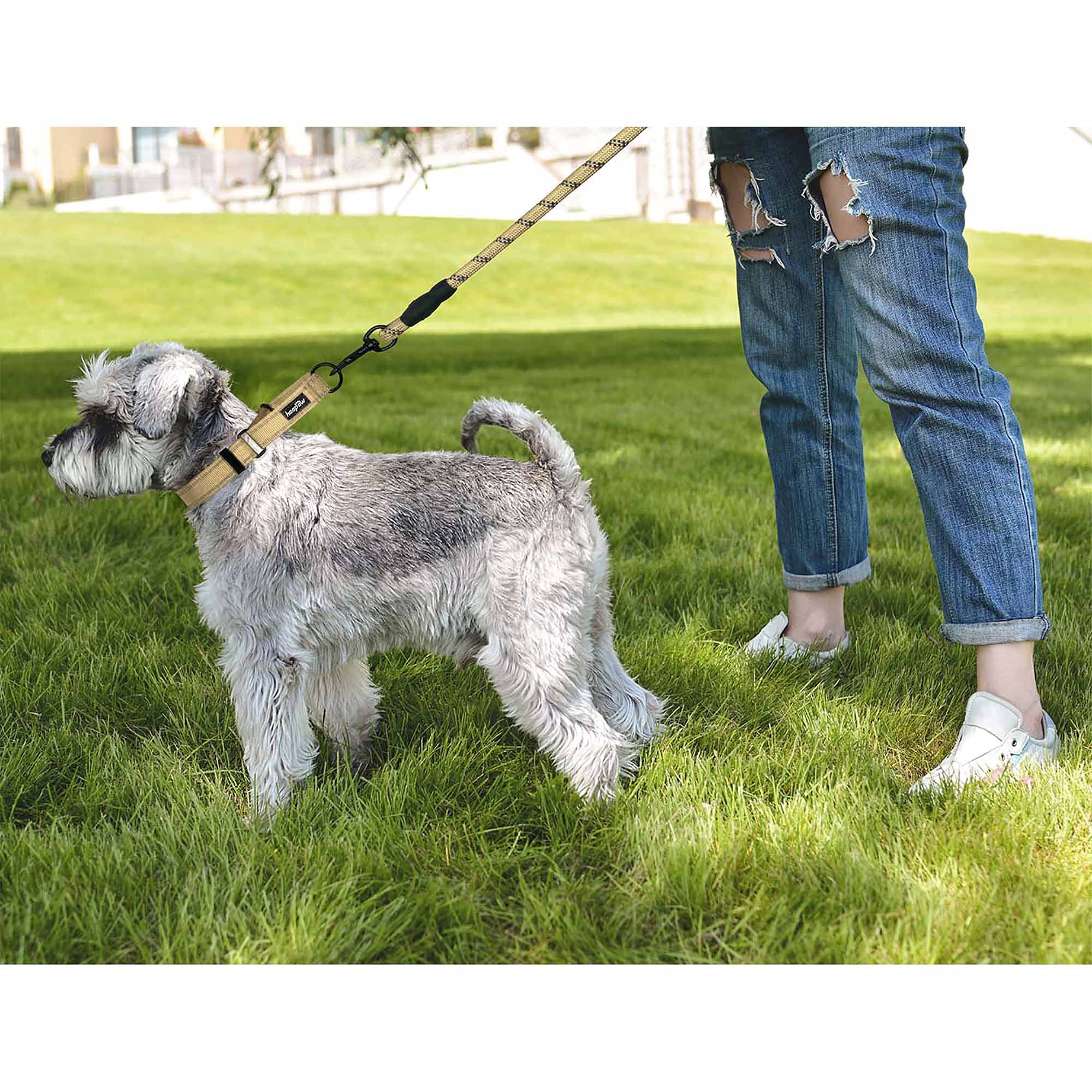 Collar martingale Haapaw con sistema de seguridad para entrenamiento