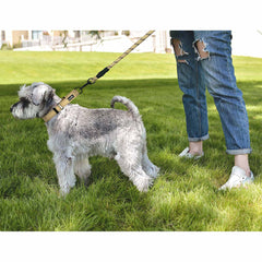 haapaw collar martingale dos piezas, gran valor para perros