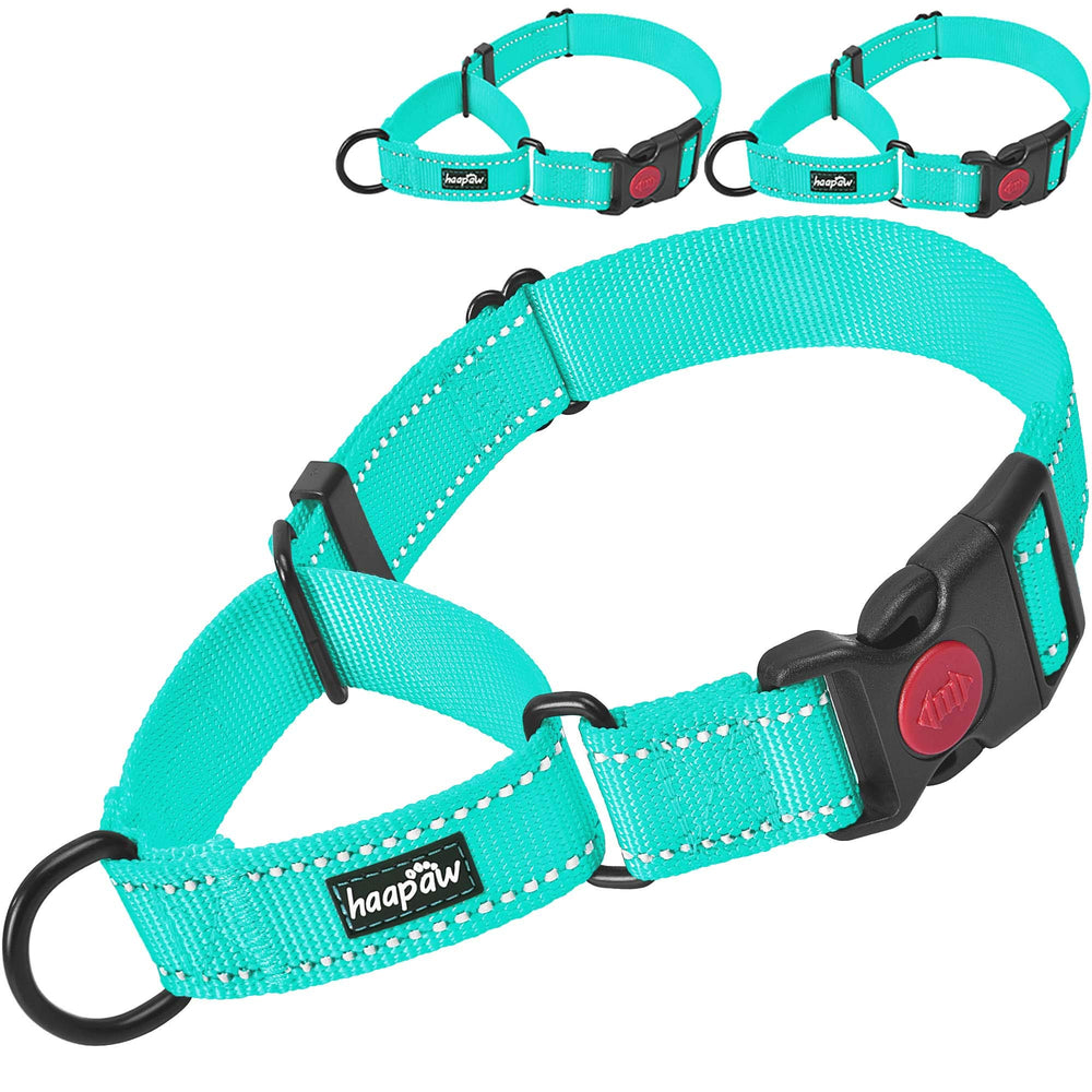 haapaw collar martingale con hebilla rapida para ajuste comodo y seguro