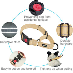 Collar martingale Haapaw reflectante, mayor visibilidad nocturna