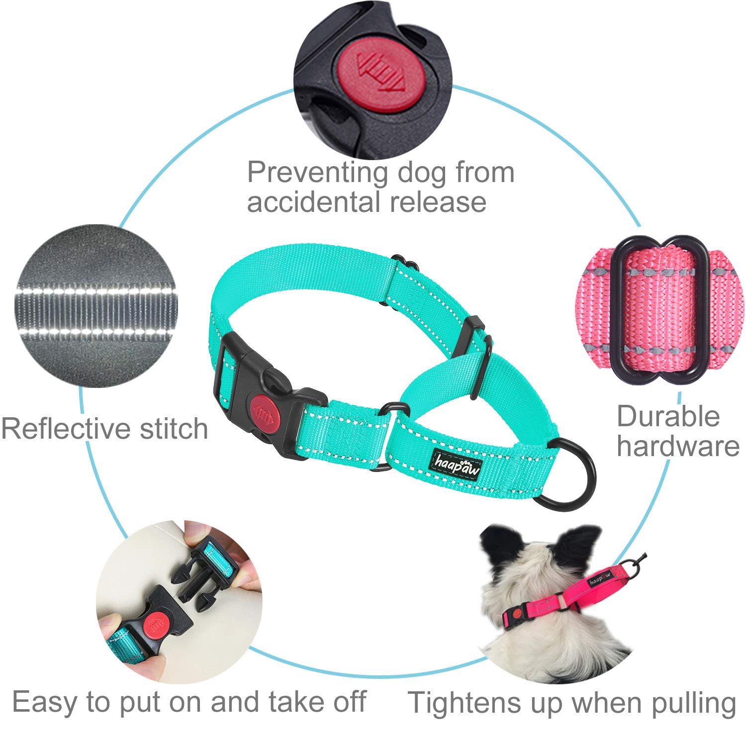 haapaw collar martingale reflectante nocturno para mayor visibilidad
