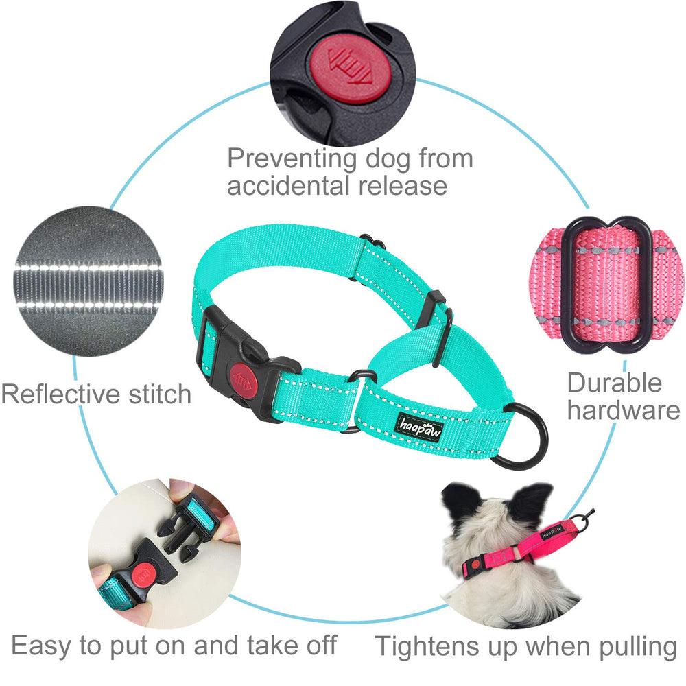 haapaw collar martingale reflectante nocturno para mayor visibilidad