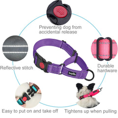 Collar martingale haapaw reflectivo para visibilidad nocturna
