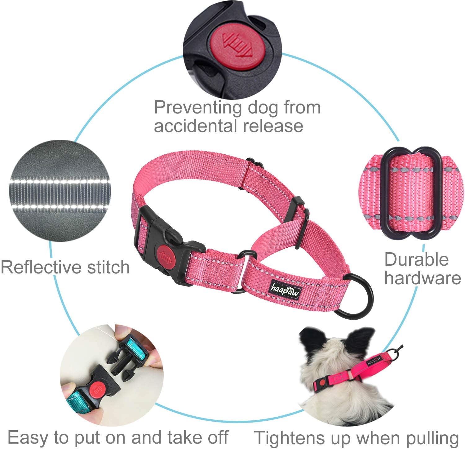 Collar haapaw martingale reflectivo mejora visibilidad nocturna y seguridad durante paseos.