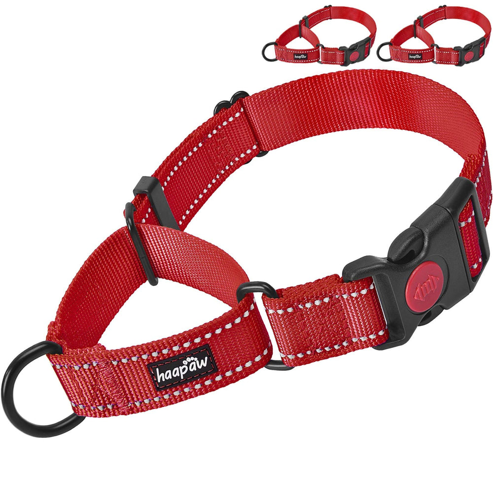 Haapaw collar martingale con cierre rápido para ajuste seguro.