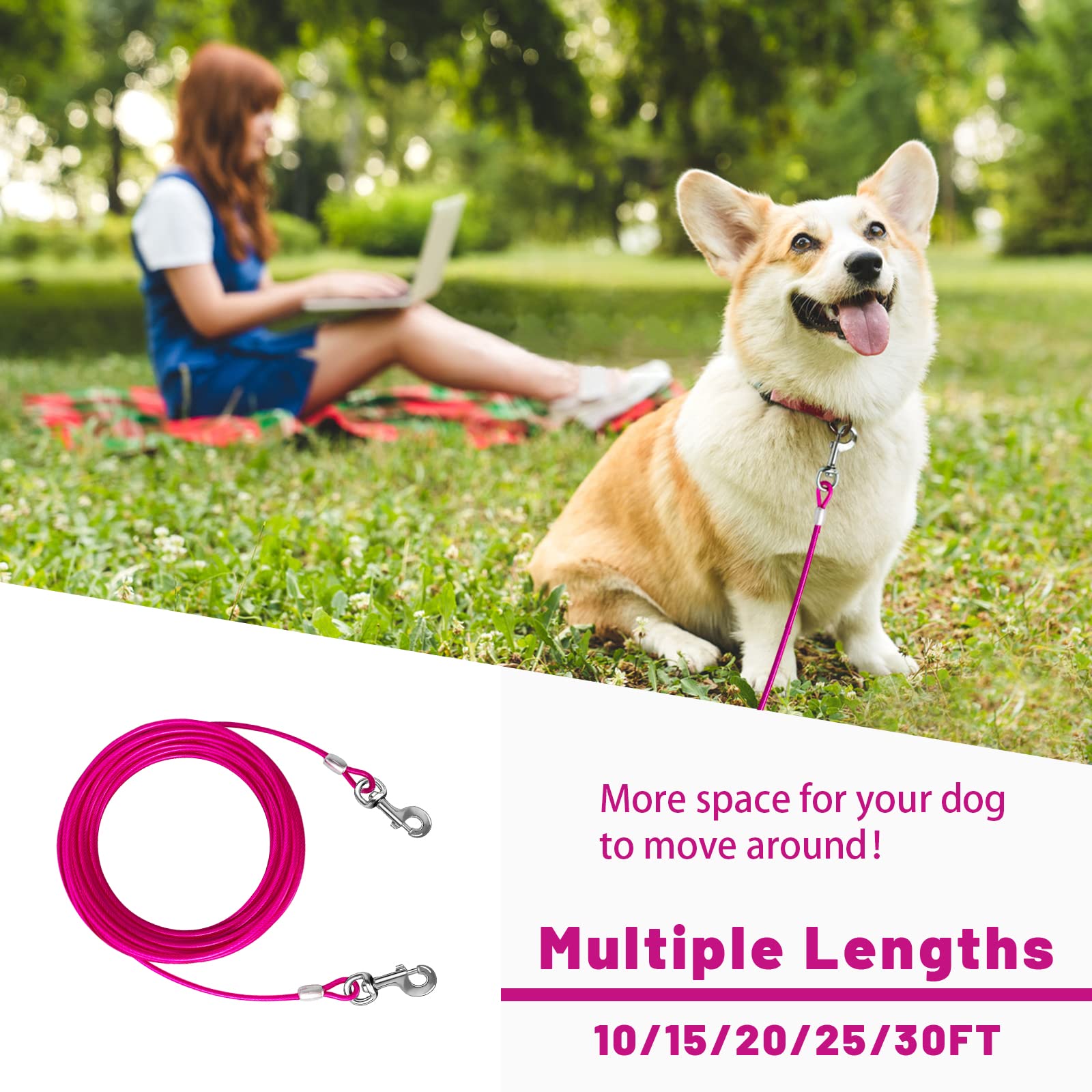 HaiYUAN cable para perros grandes hasta 75 kg, robusto