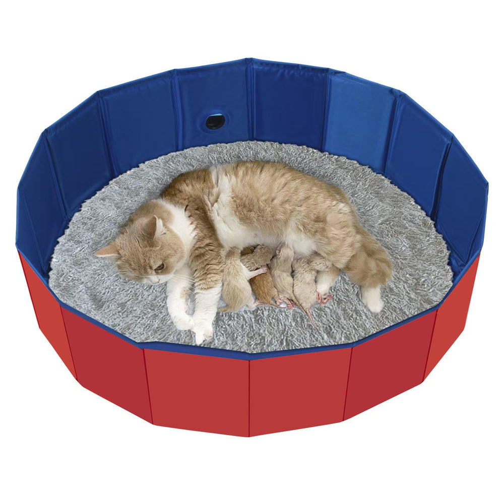 HALAGAS caja-parto-gatos-plegable facilita parto y lactancia.
