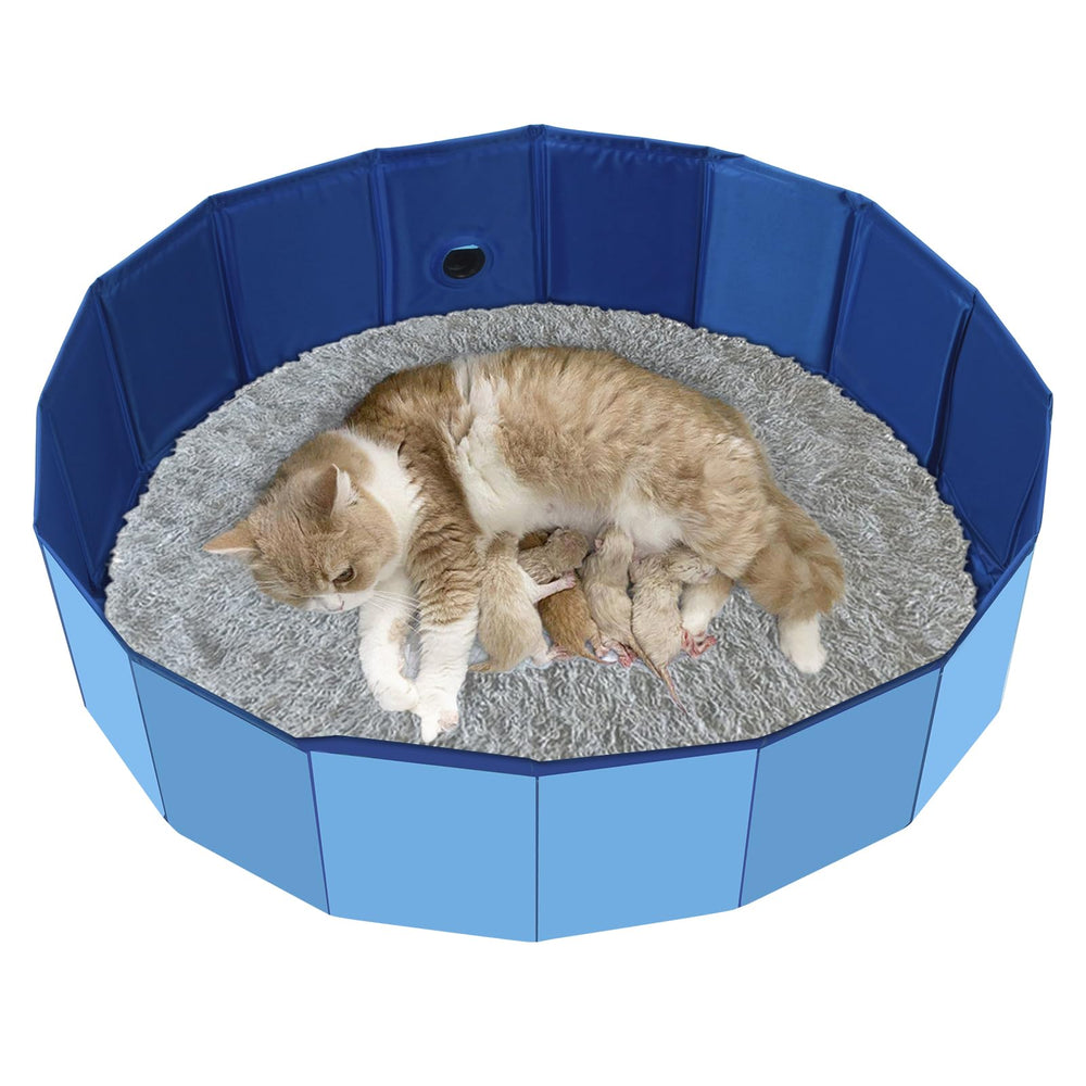 HALAGAS caja parto gatos: estructura estable para parto cómodo.