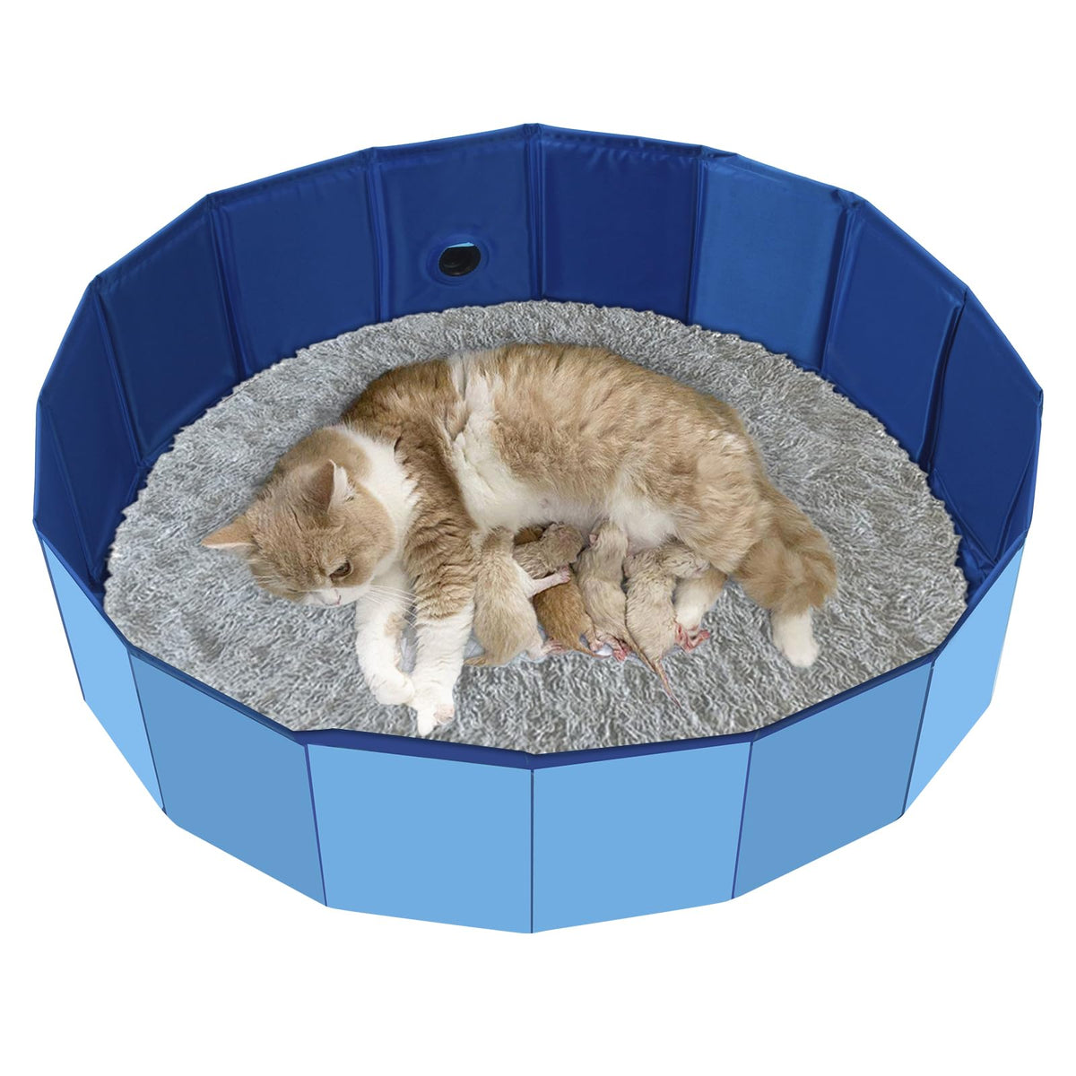 HALAGAS caja parto gatos: estructura estable para parto cómodo.