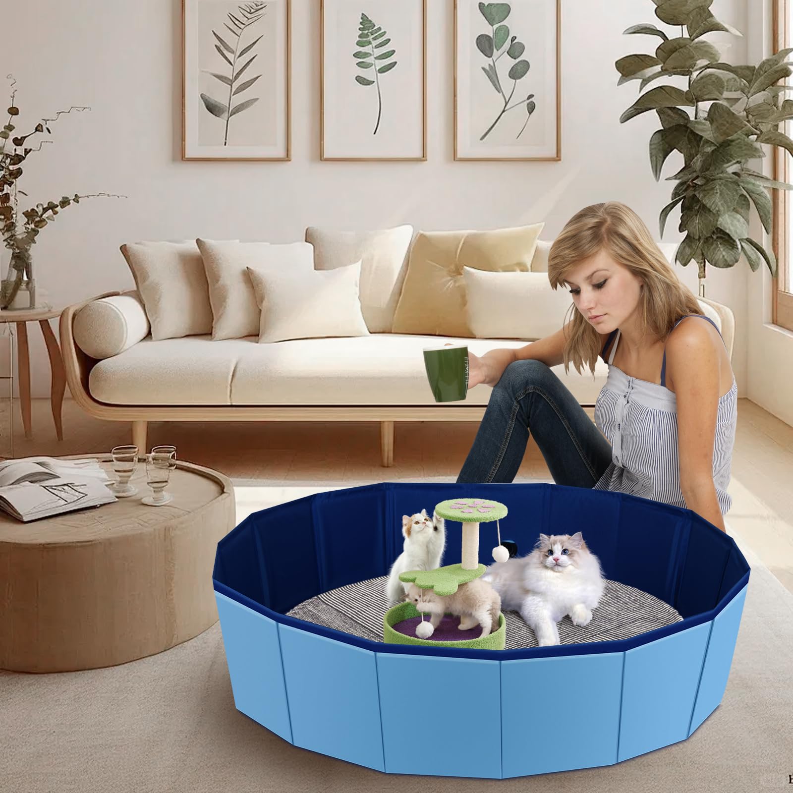 HALAGAS diseño acogedor gatos: colores cálidos para tranquilizar.