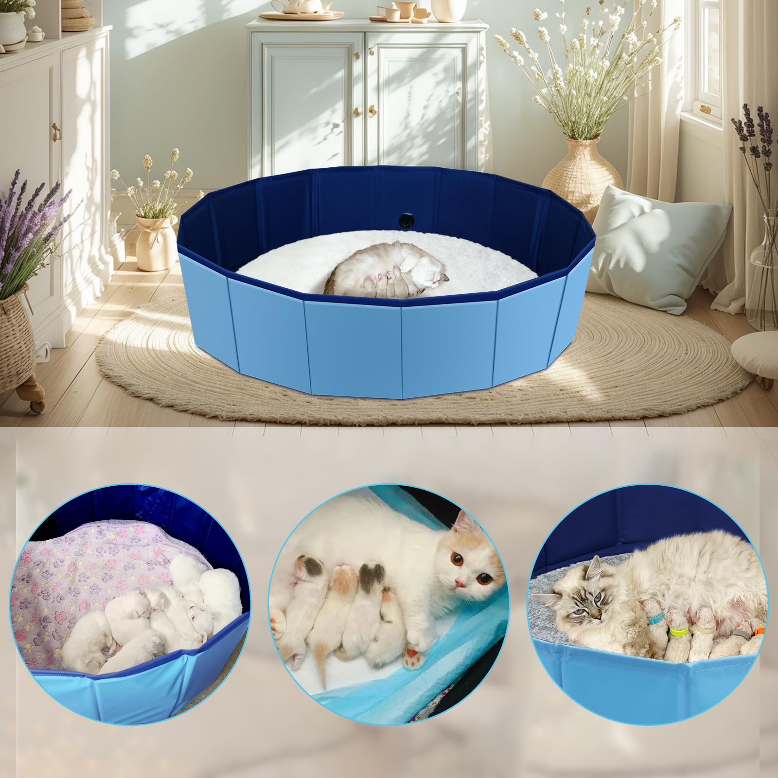 HALAGAS tamano perfecto gatos: altura ideal para amamantar.