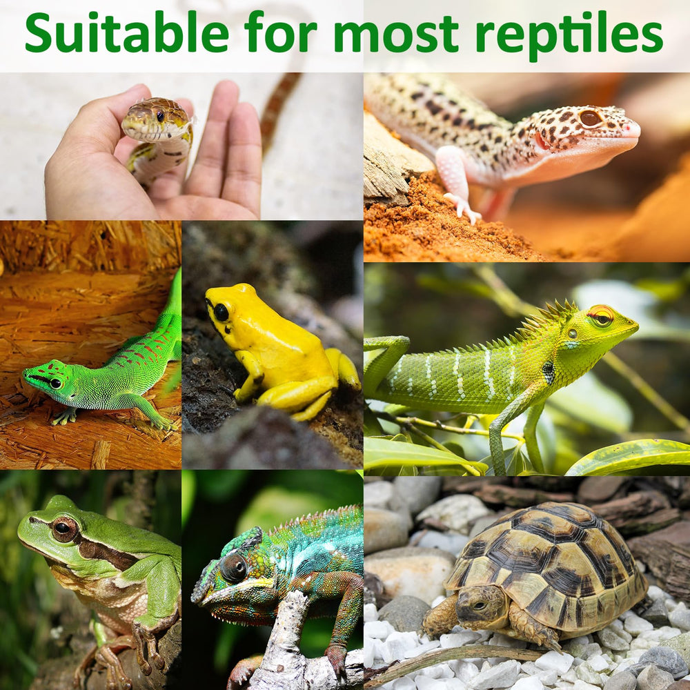 Halatool: carpeta reptil 12x30 diseño bioactivo compatible terrarios.