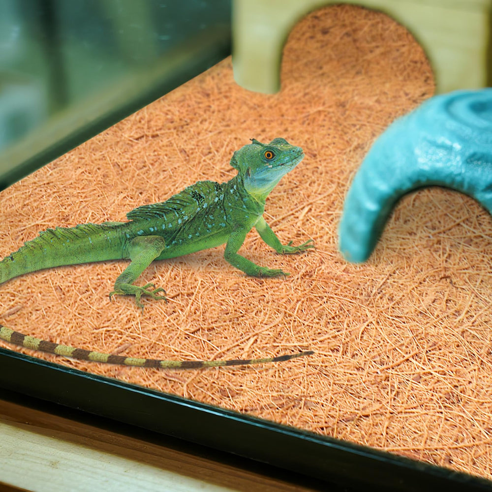 Halatool: carpeta reptil 12x30 limpieza fácil y almacenamiento cómodo.