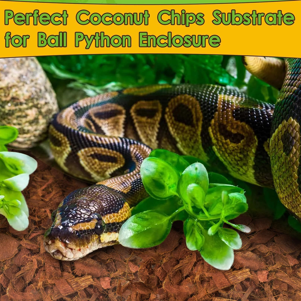 Halatool alternativa segura para ranas, geckos y cangrejos ermitaños.