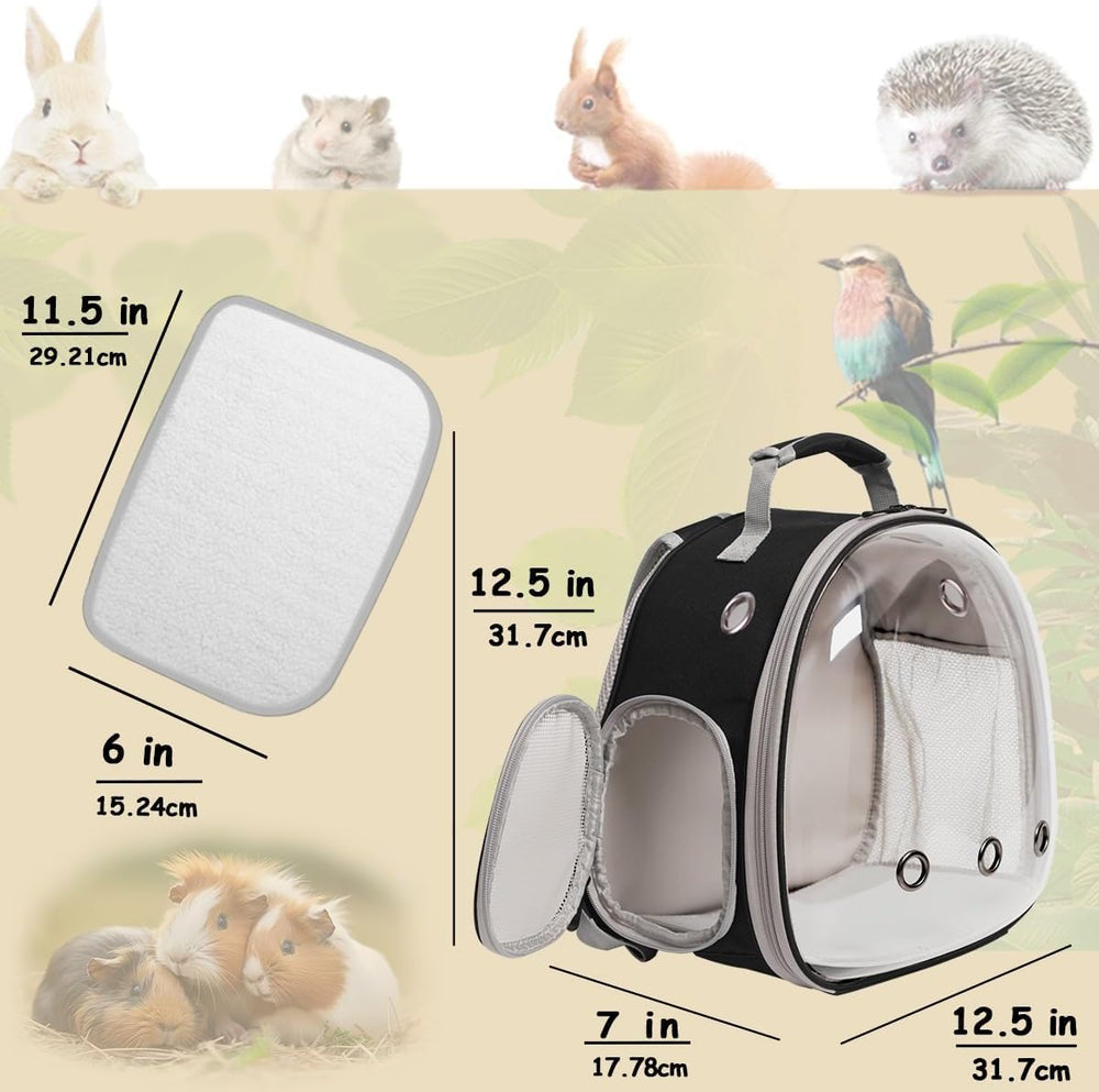 Halinfer mochila con malla ventilada para dragón barbudo y buena circulación de aire.