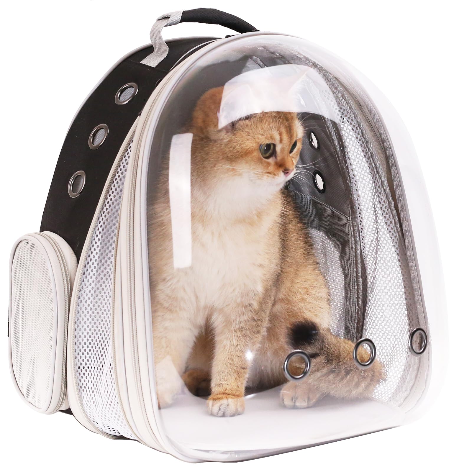 halinfer diseño resistente y duradero para uso diario con gatos