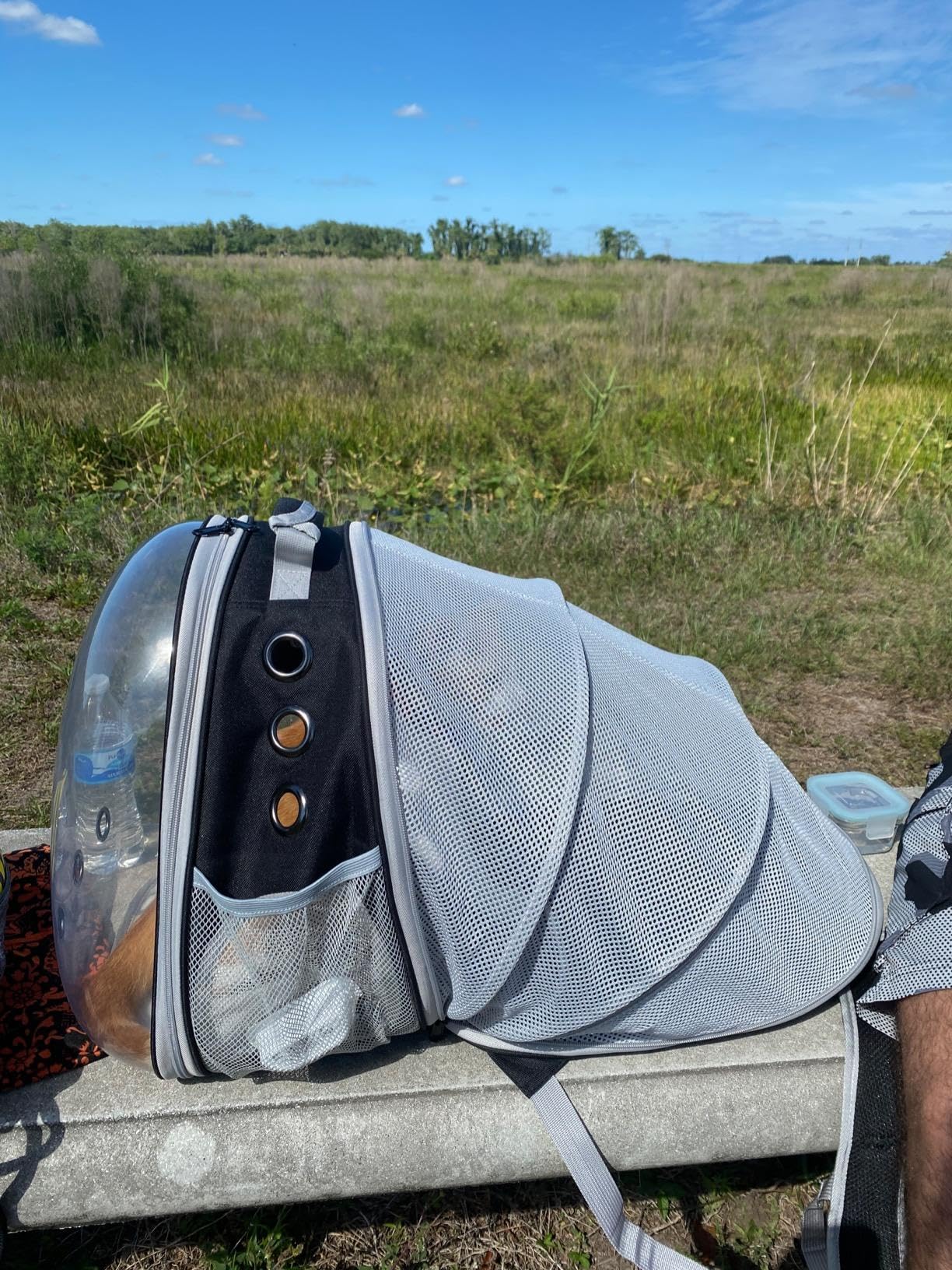 Halinfer Mochila gato ofrece dos formas de llevar para viajes.