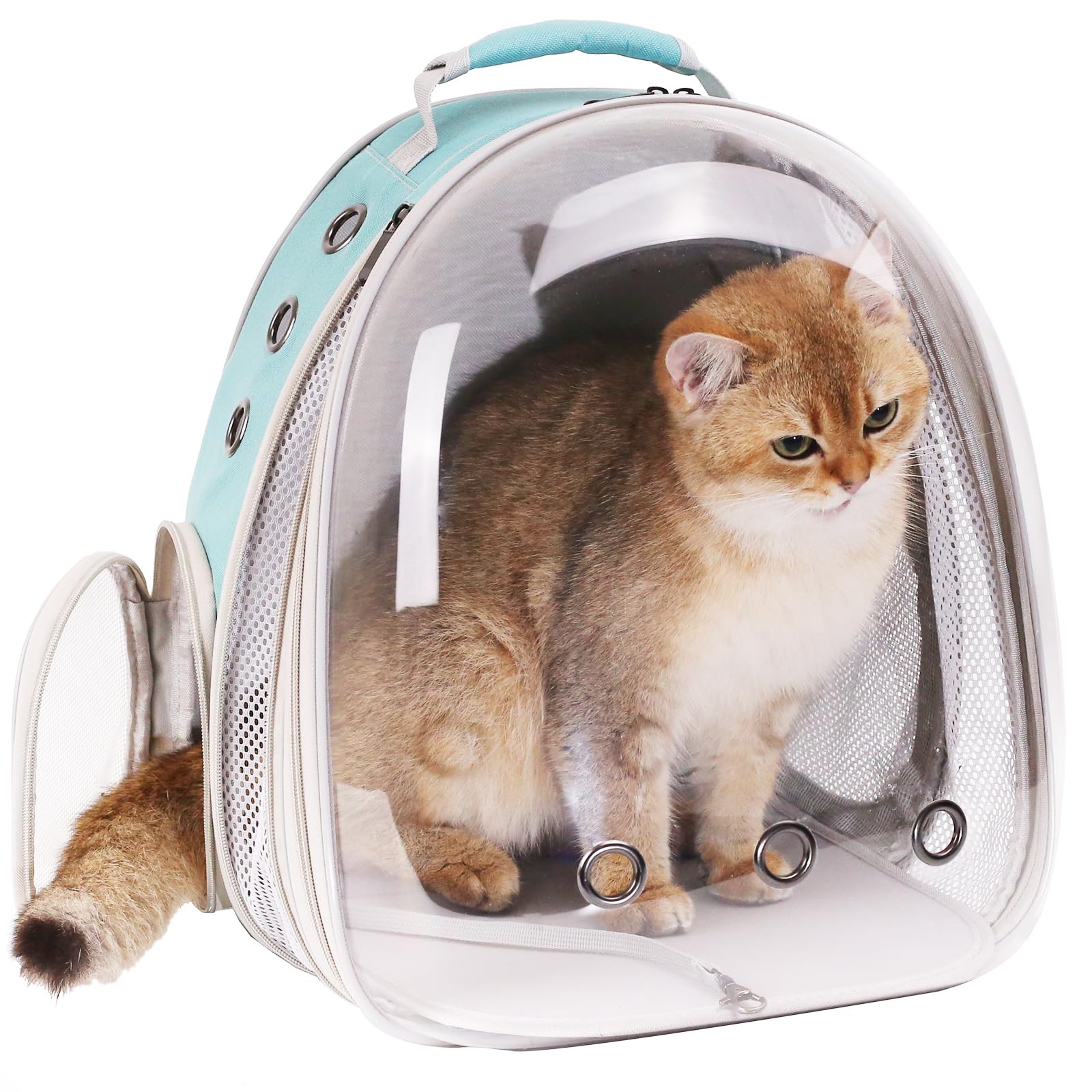Dos formas de llevar: mochila y bandolera para comodidad diaria.
