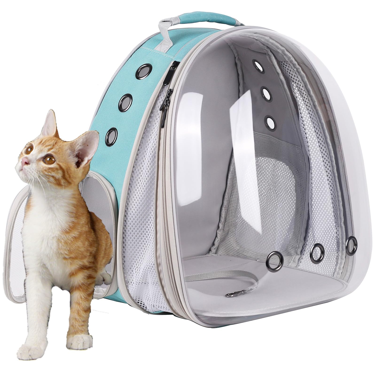 Diseño ideal para viajes y aventuras con tu mascota.