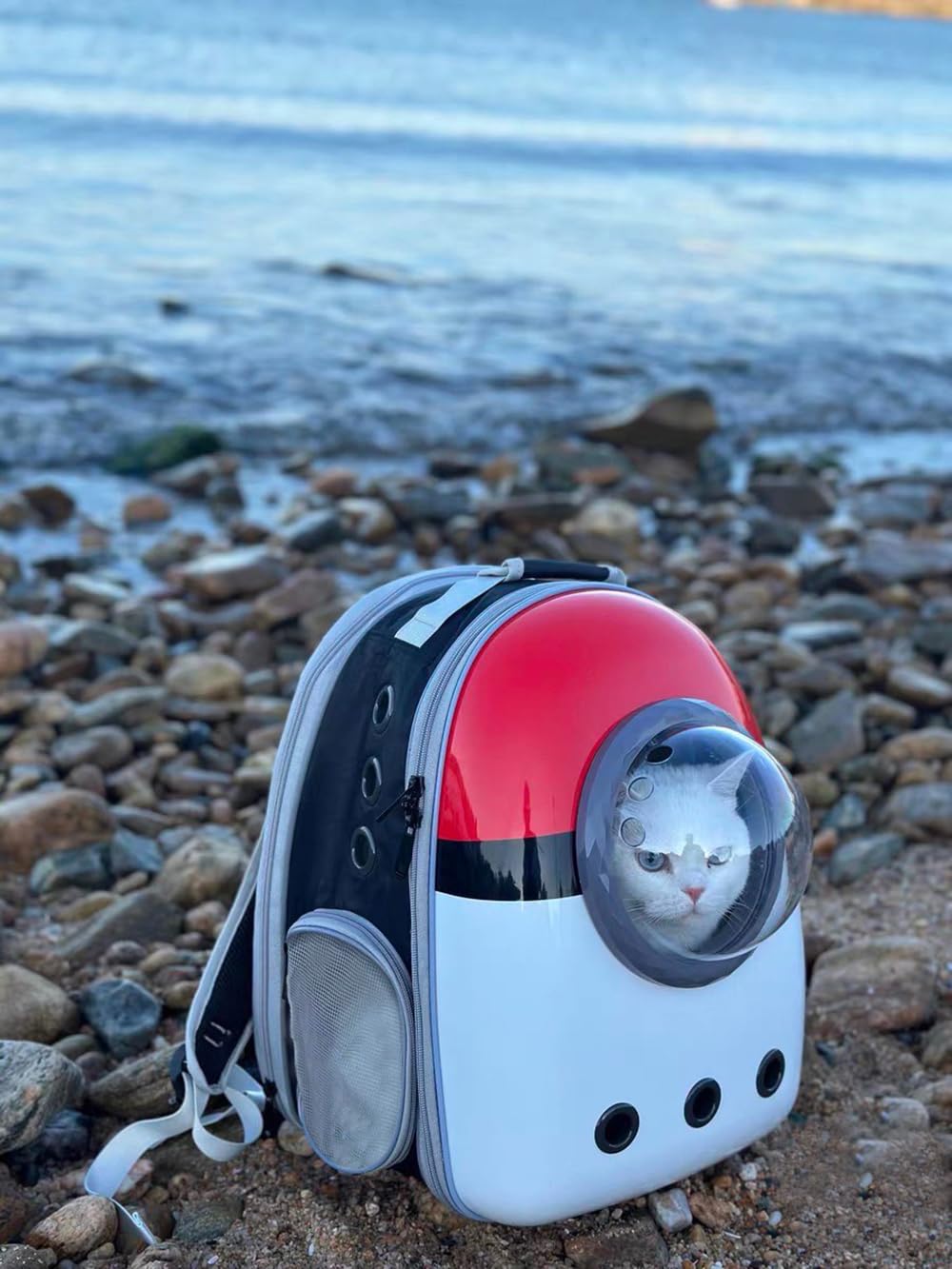 Mochila Halinfer con capacidad de 20 libras para gatos de mayor tamaño.