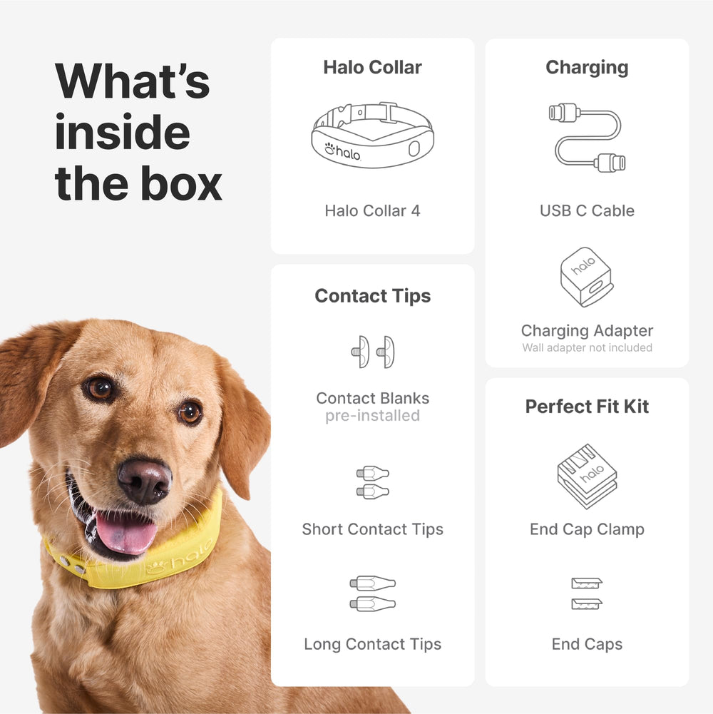Halo Collar 4: app para gestionar cercas GPS y entrenamiento