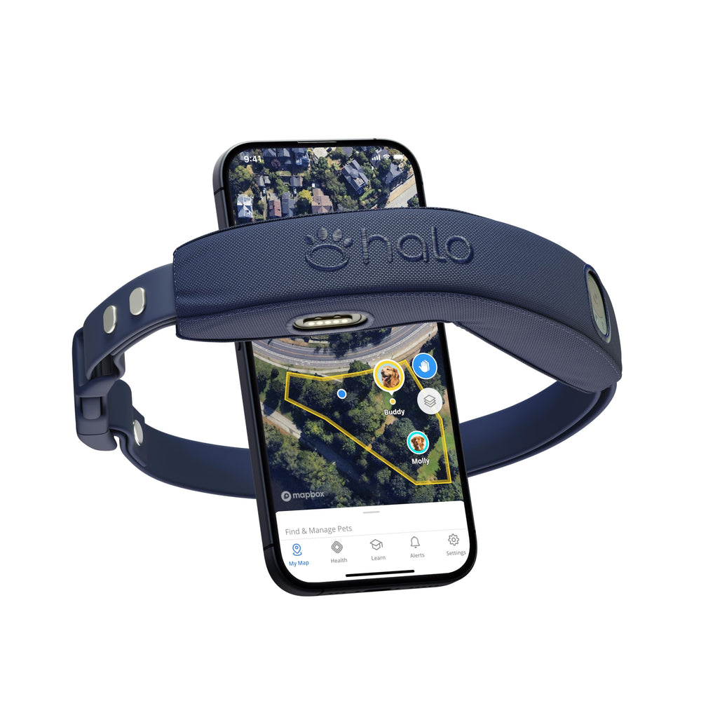 Halo Collar 4: ubicación en tiempo real para seguimiento seguro de tu perro