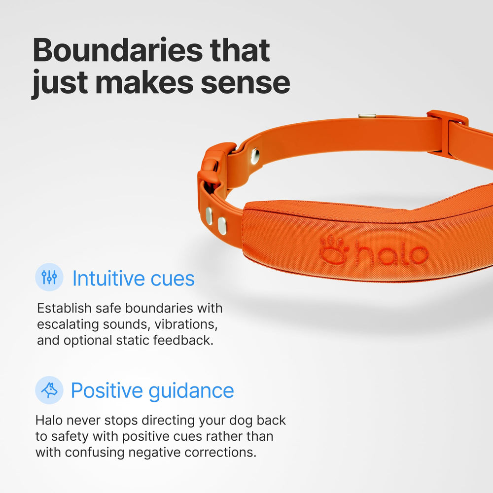 Halo Collar 5: ajuste personalizable para perros de todos los tamaños