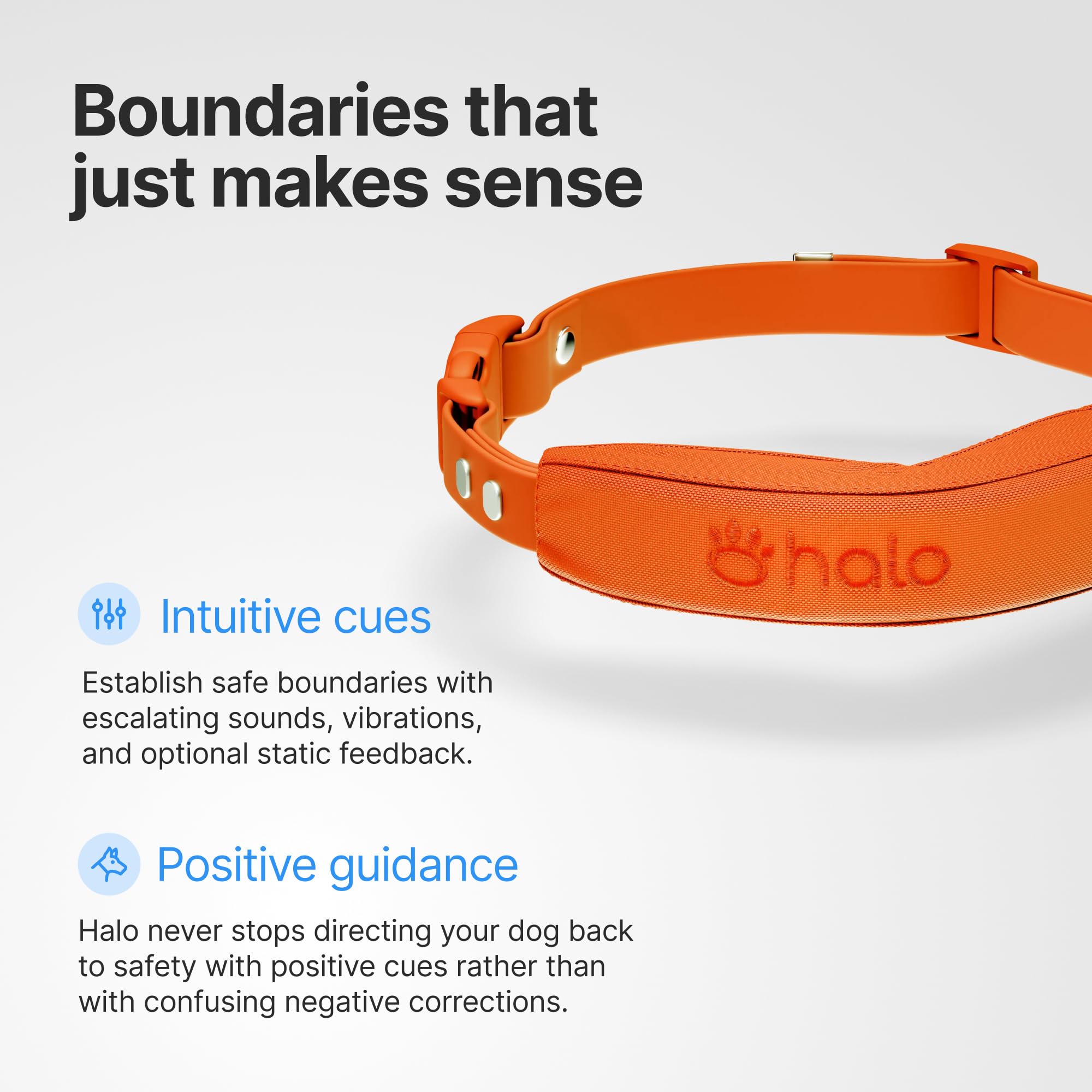 Halo Collar 5 es resistente al agua para días de lluvia y aventuras.