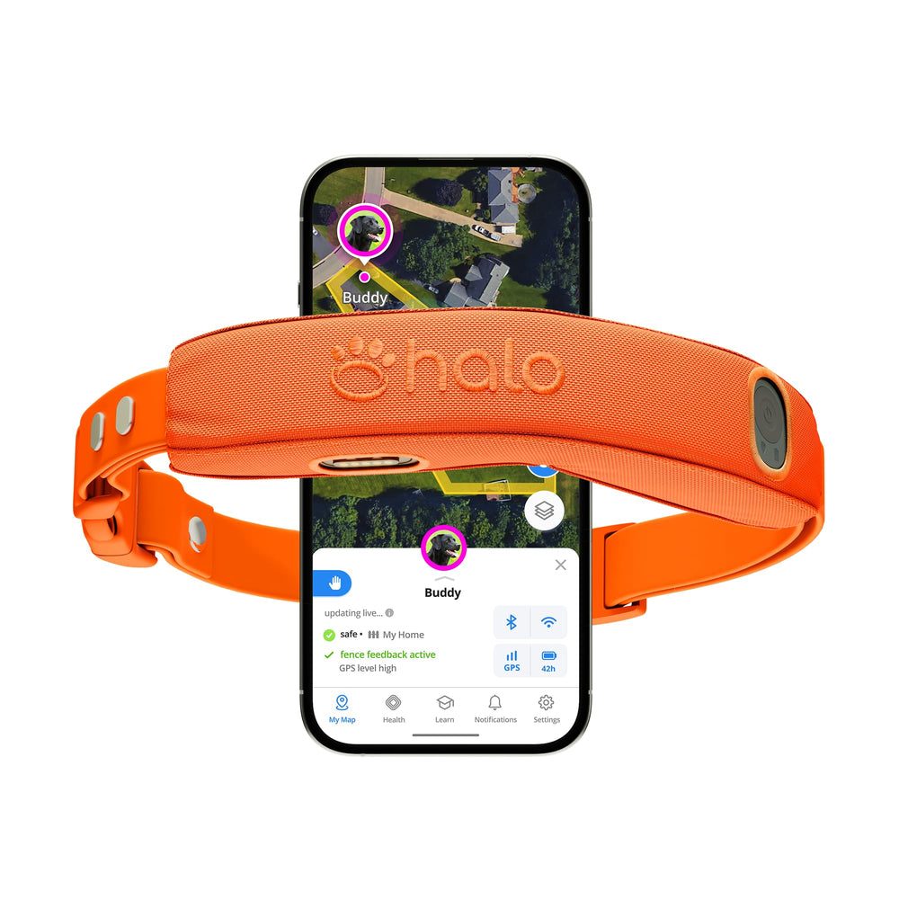 Halo Collar 5: valla inalámbrica para perros para mayor seguridad al aire libre