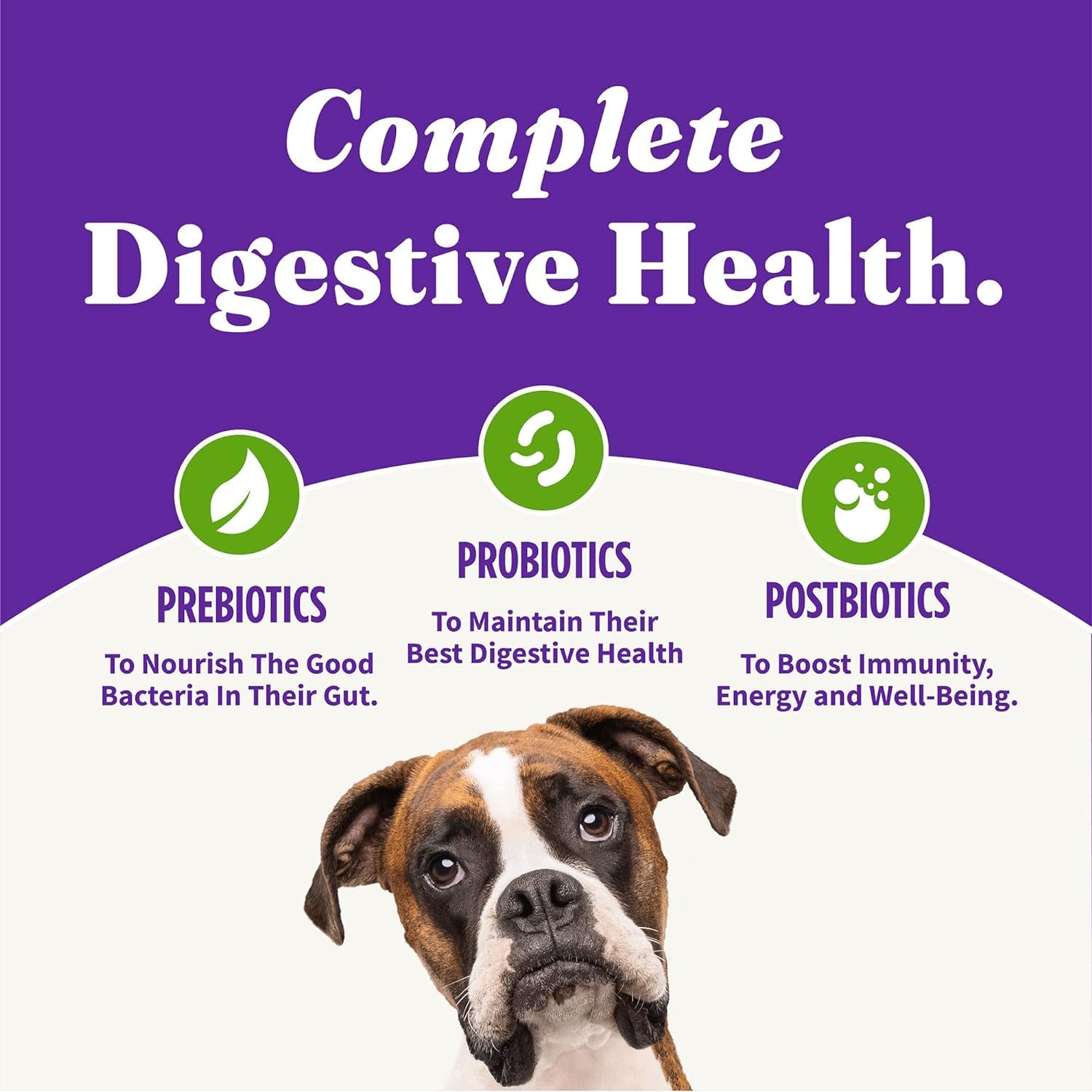 Halo Holistico receta vegana para perros adultos con superalimentos.