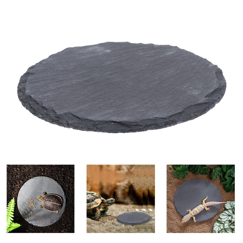HALONTIN plato para reptiles, combinación de alimento y descanso para tortugas y lagartos