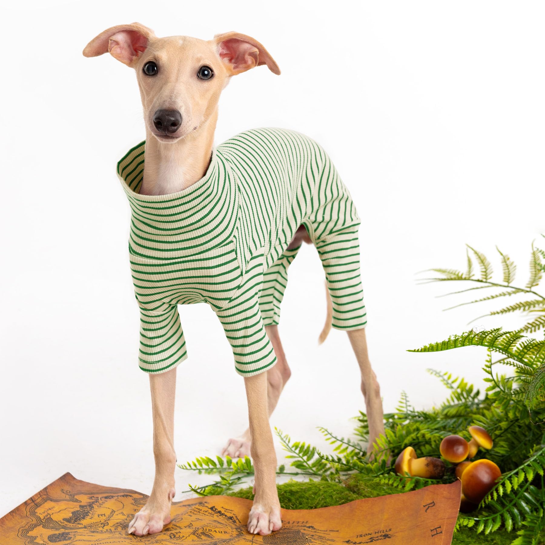 Haloumoning suéter para perro con cuello alto, ideal para días fríos