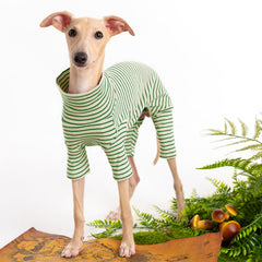 Haloumoning suéter para perro con cuello alto, ideal para días fríos