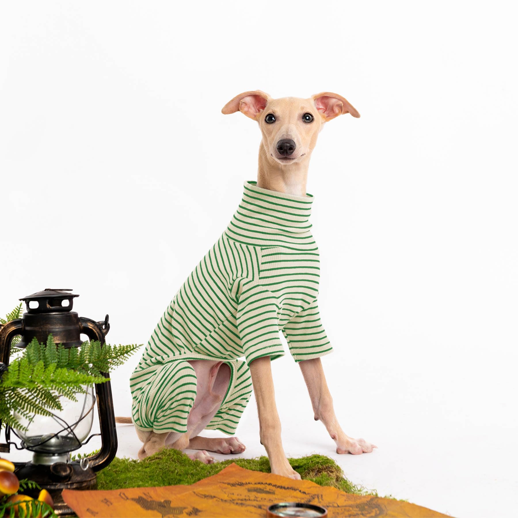 Haloumoning pullover para perro, diseño clásico y fácil de poner