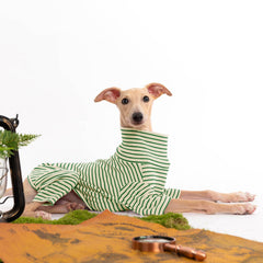 Haloumoning suéter para perro con elasticidad en barriga, ajuste cómodo